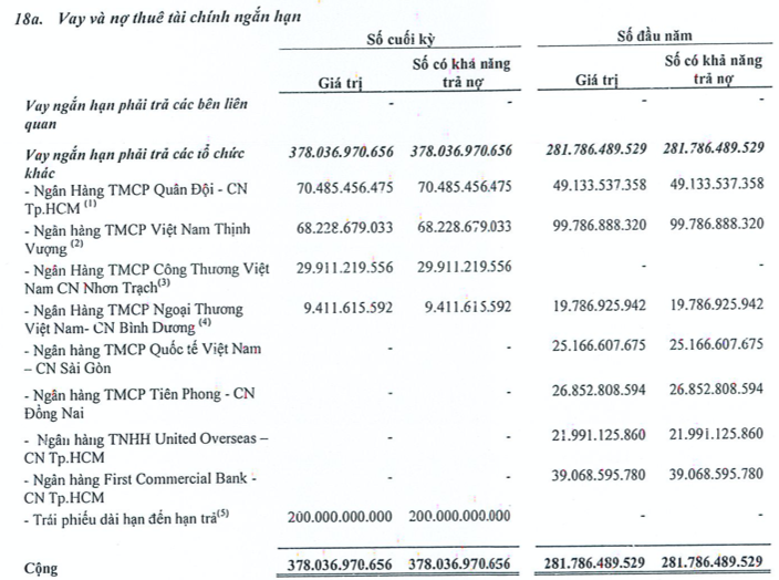 Mat kha nang thanh toan, VKC lien quan nhom Louis dang vay no ngan hang nao?-Hinh-3