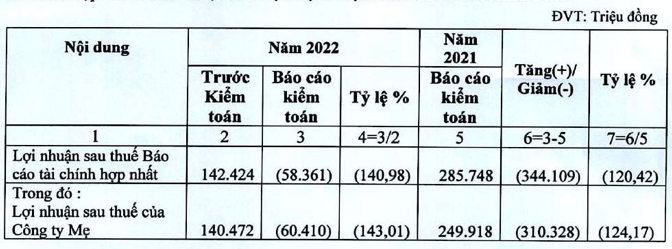 Vi sao Hai Phat tu co lai sang lo rong 60 ty dong sau kiem toan 2022?