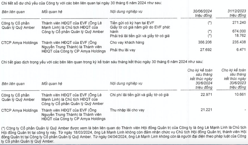 11.606 ty EVNFinance cho vay lien quan cac du an BDS chua xay dung-Hinh-2