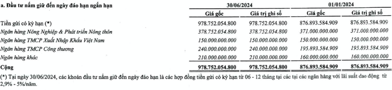 Lai lon, Xo so Kien thiet TPHCM chi thuong hon 4.820 ty dong-Hinh-2