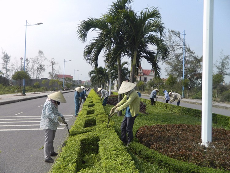 Goi thau cay xanh Binh Minh, Vinh Long: Minh bach hay loi the rieng?