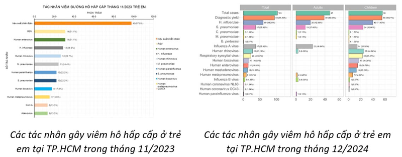 HMPV khong phai la virus moi, tung duoc phat hien tai TPHCM-Hinh-2