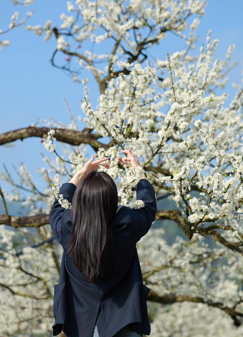 7 diem den hap dan ngam hoa xuan khoe sac