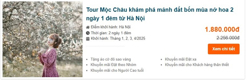 Len Moc Chau ngam hoa man, chon tour dai hay ngan ngay?-Hinh-2