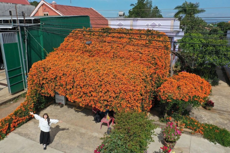 Me man 2 ngoi nha phu kin hoa xac phao o Lam Dong-Hinh-3