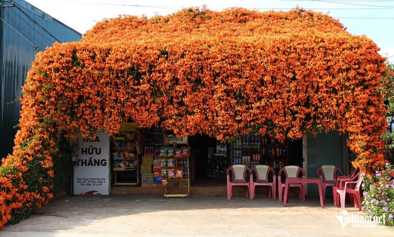 Me man 2 ngoi nha phu kin hoa xac phao o Lam Dong