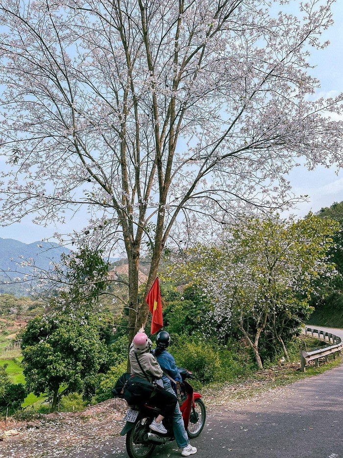 Toa do “song ao” giua mua hoa ban o Dien Bien-Hinh-9