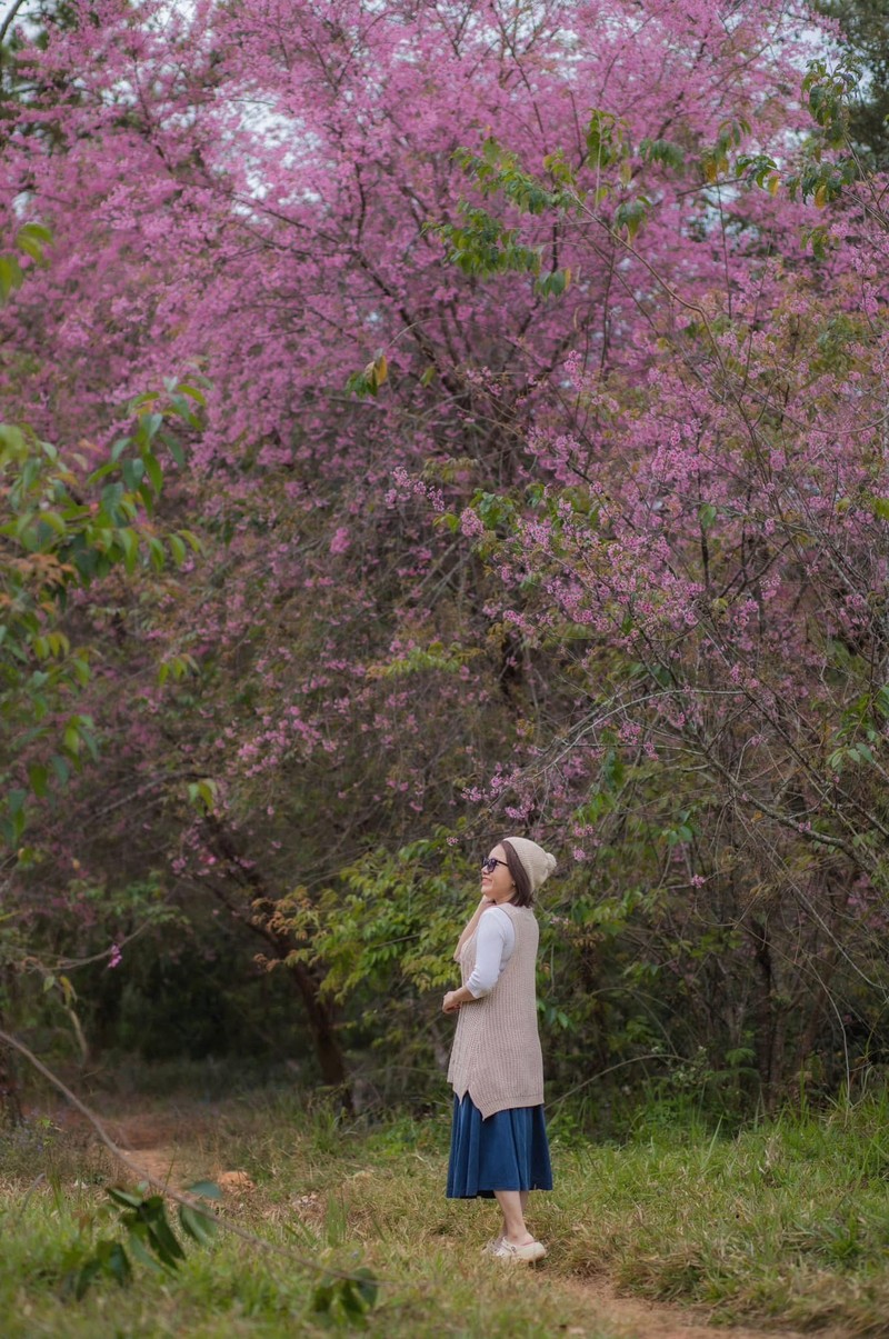 Sac mai anh dao no ro ben Ho Tuyen Lam-Hinh-7