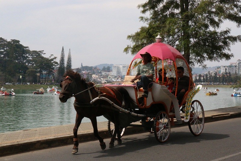 Vi sao Da Lat cam xe ngua quanh ho Xuan Huong?