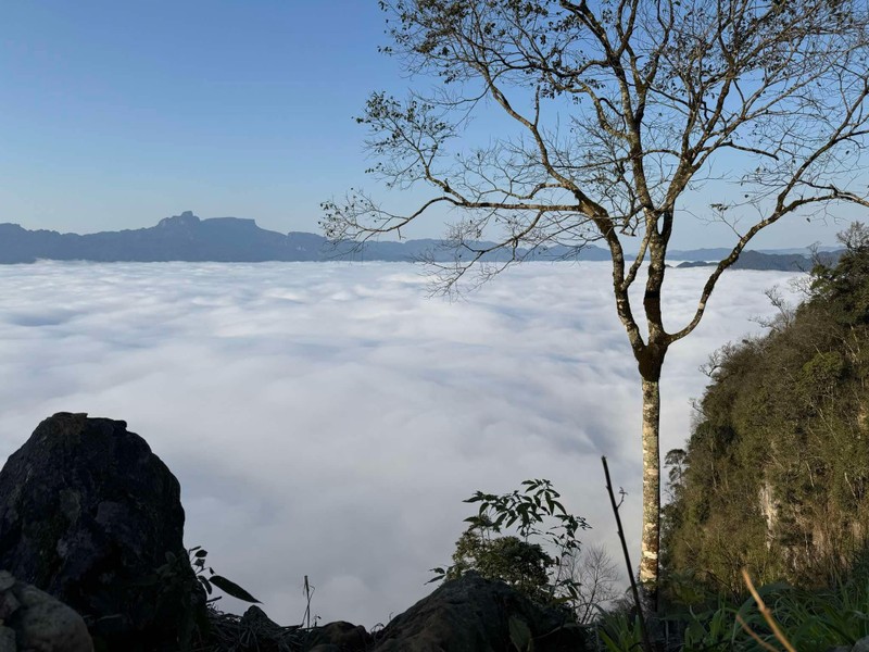 Don binh minh, san may tren dinh Pa Phach Moc Chau