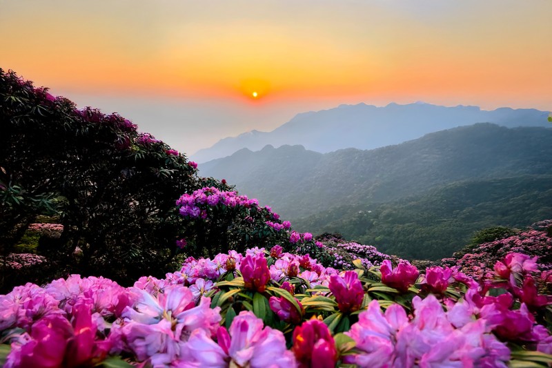 Trekker len duong chinh phuc dinh Putaleng, san “nu hoang hoa Tay Bac“-Hinh-2