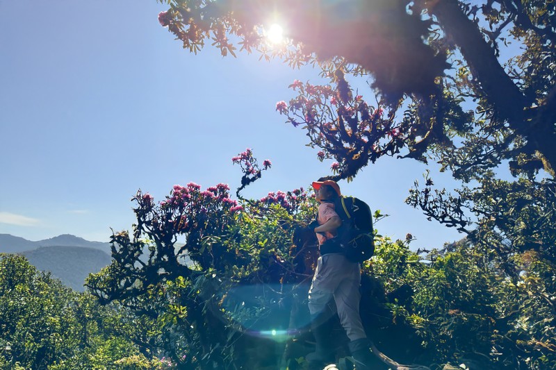 Trekker len duong chinh phuc dinh Putaleng, san “nu hoang hoa Tay Bac“-Hinh-4