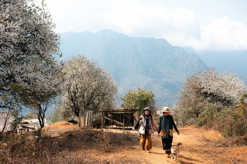 Den Nam Nghep dam minh trong sac trang tinh khoi cua hoa son tra-Hinh-9