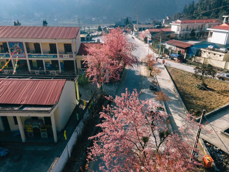 Ha Giang lot top ngam hoa anh dao dep chau A