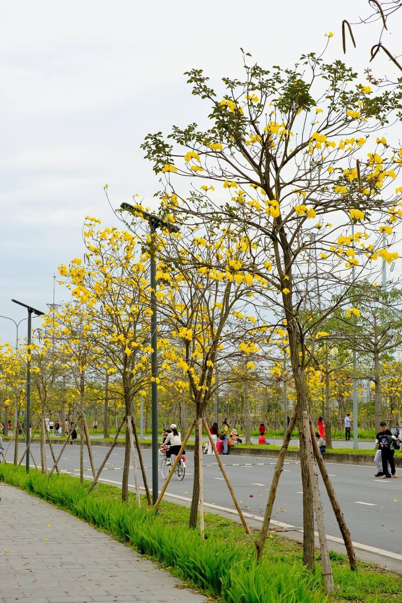 Phong linh nhuom vang goc troi Ha Noi hut “nang tho” toi check-in-Hinh-11