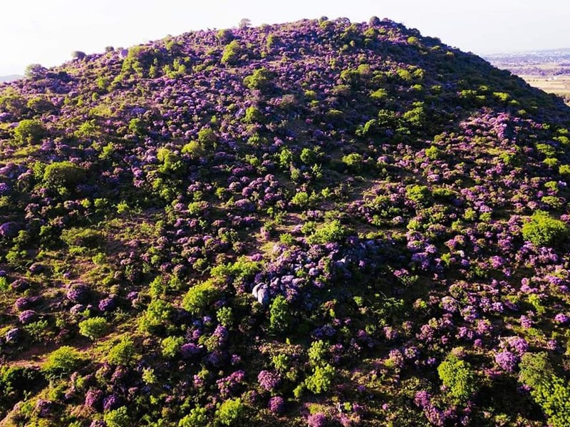 Ve dep nen tho cua doi bang lang o Binh Thuan-Hinh-2