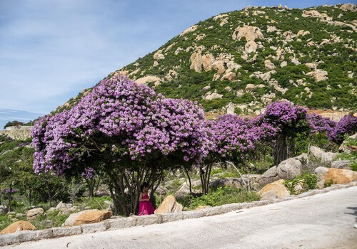 Ve dep nen tho cua doi bang lang o Binh Thuan-Hinh-5