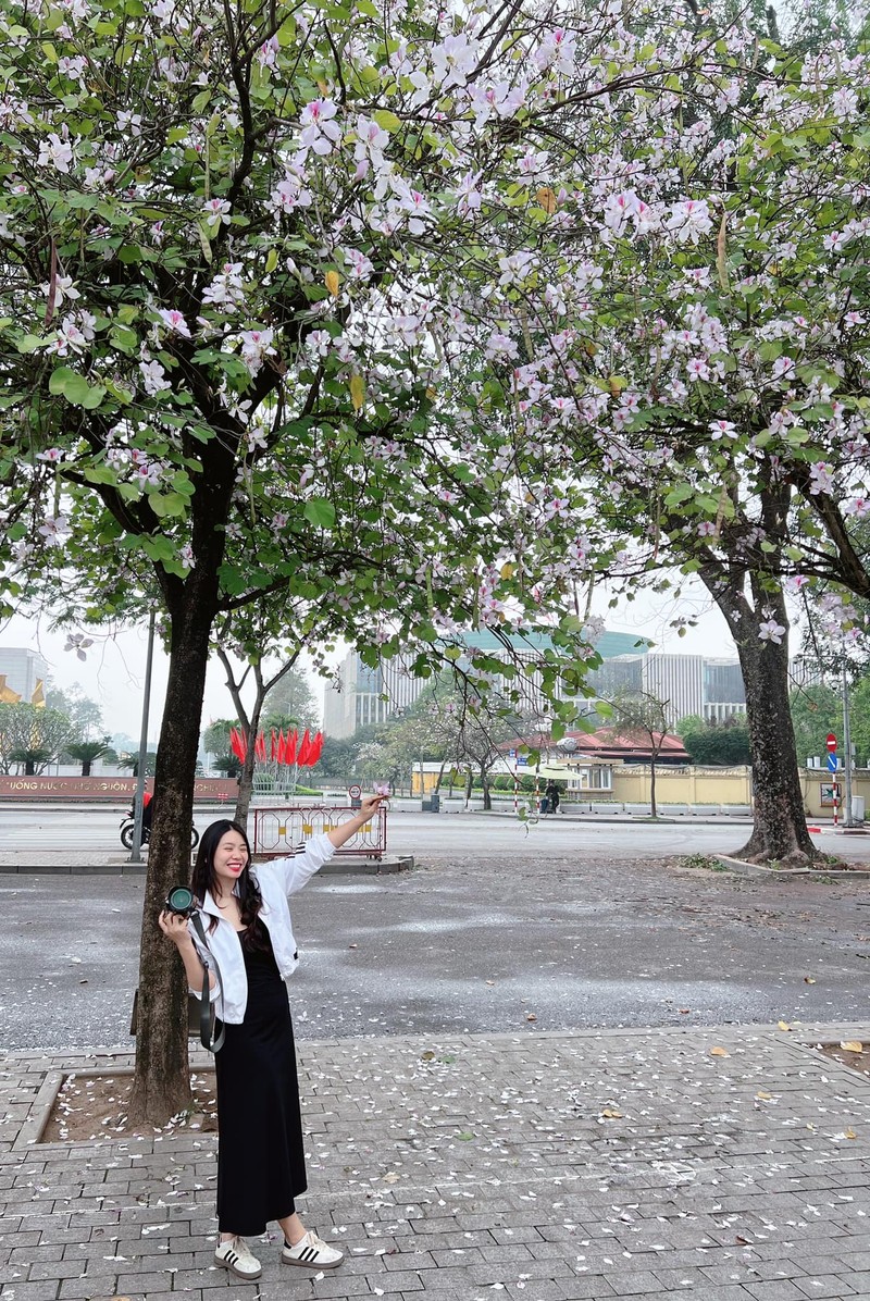 Hoa Ban cuoi mua – du am ngot ngao giua long Ha Noi-Hinh-11