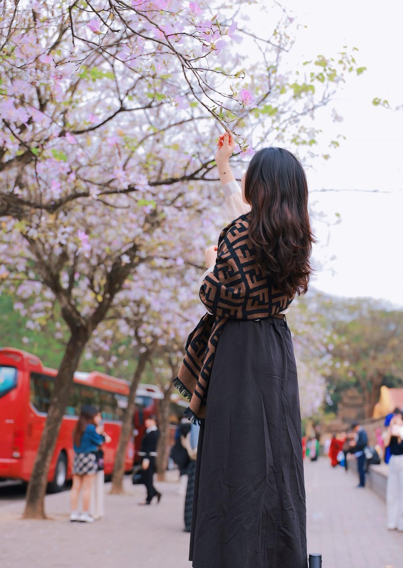 Hoa Ban cuoi mua – du am ngot ngao giua long Ha Noi-Hinh-3