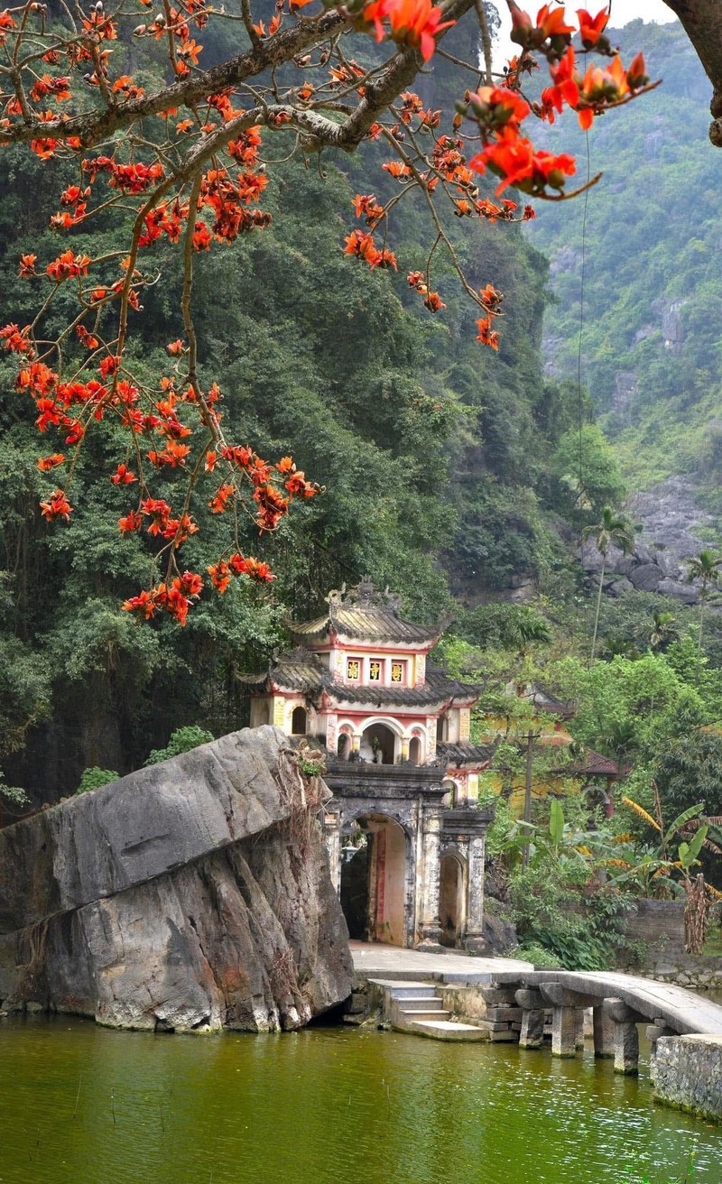 Hoa moc mien thap lua ben ngoi chua 600 tuoi o Ninh Binh-Hinh-10