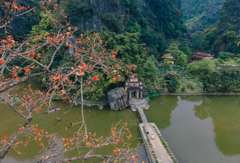 Hoa moc mien thap lua ben ngoi chua 600 tuoi o Ninh Binh-Hinh-11