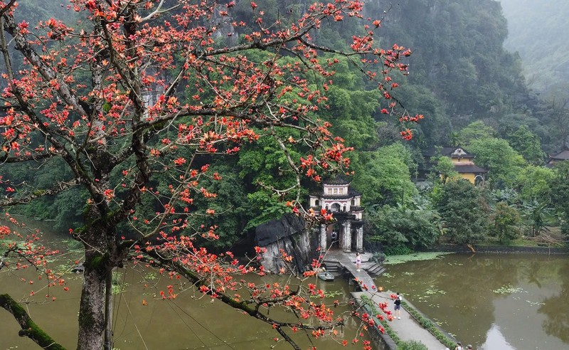 Hoa moc mien thap lua ben ngoi chua 600 tuoi o Ninh Binh-Hinh-2