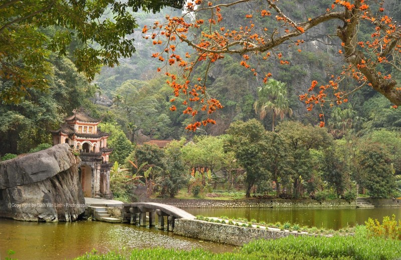 Hoa moc mien thap lua ben ngoi chua 600 tuoi o Ninh Binh-Hinh-4