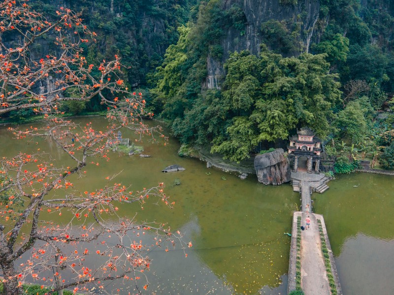Hoa moc mien thap lua ben ngoi chua 600 tuoi o Ninh Binh-Hinh-5
