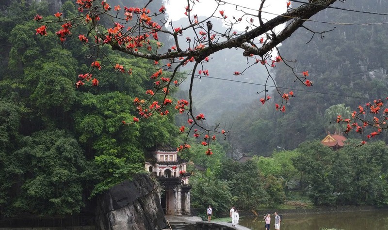 Hoa moc mien thap lua ben ngoi chua 600 tuoi o Ninh Binh-Hinh-8