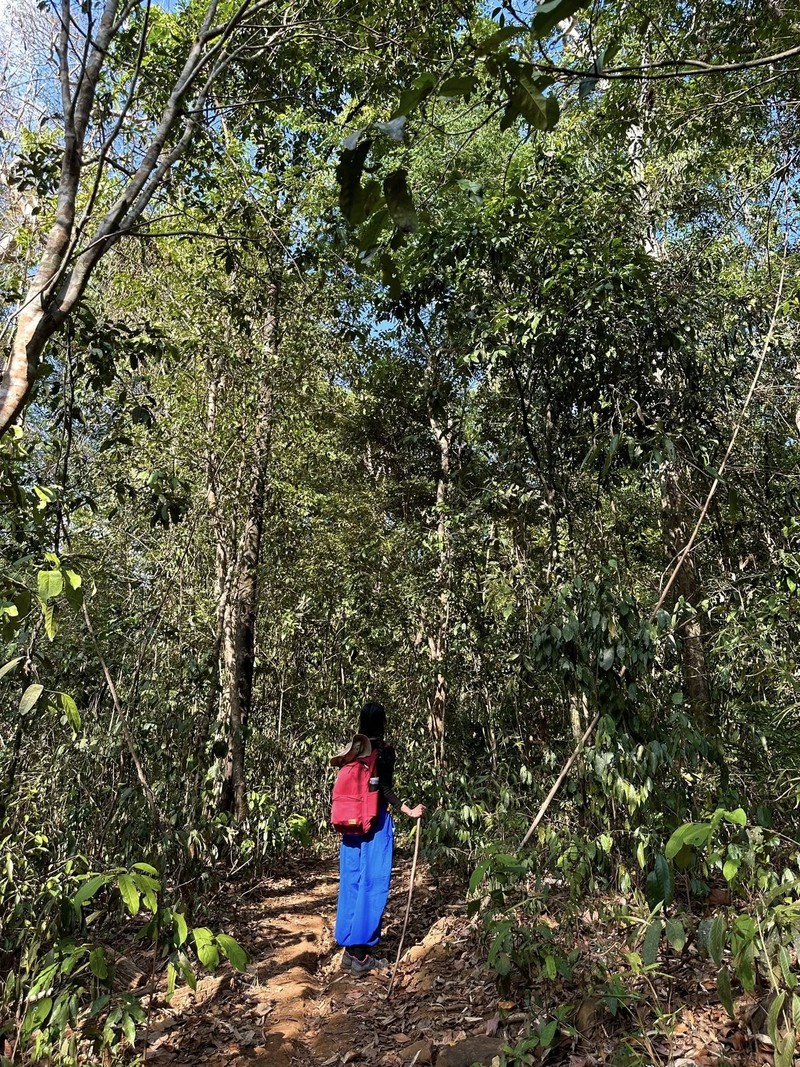 Trekking kham pha ve dep sieu thuc cua Bu Gia Map-Hinh-8