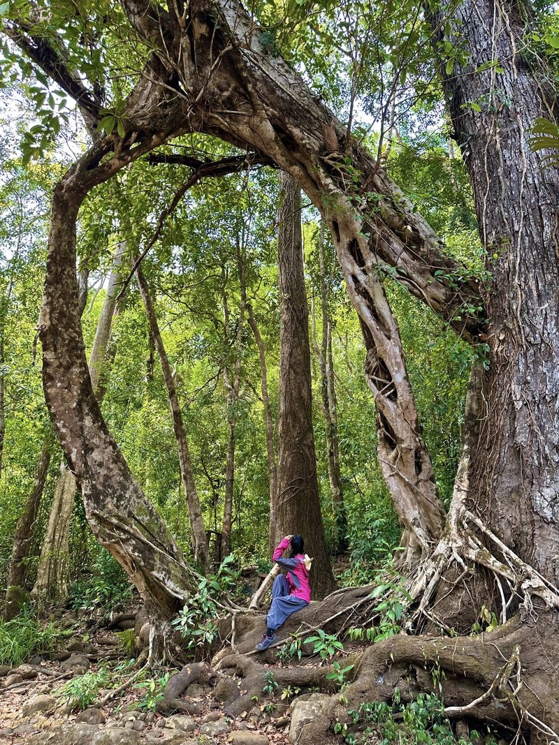 Trekking kham pha ve dep sieu thuc cua Bu Gia Map