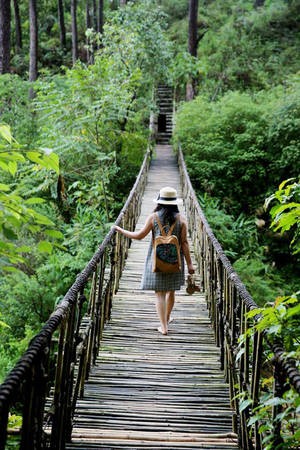 Den Da Lat tim yen binh, dung bo qua 5 dia diem nay-Hinh-10
