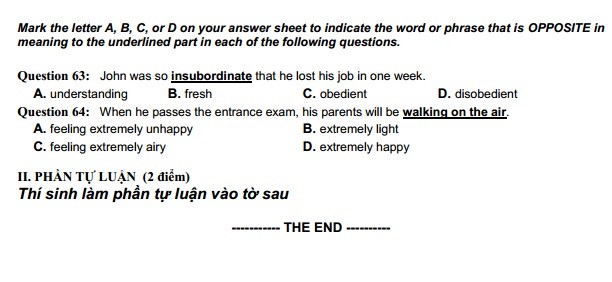 De thi thu THPT quoc gia lan 4 mon Tieng Anh truong chuyen Dai hoc Vinh-Hinh-10