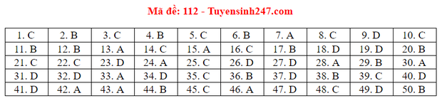 Dap an 24 ma de thi mon Toan ky thi tot nghiep THPT 2020-Hinh-17