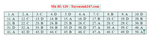 Dap an 24 ma de thi mon Toan ky thi tot nghiep THPT 2020-Hinh-25