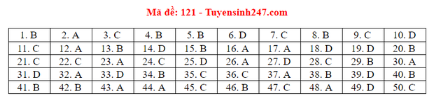 Dap an 24 ma de thi mon Toan ky thi tot nghiep THPT 2020-Hinh-26