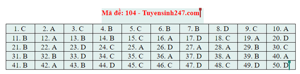 Dap an 24 ma de thi mon Toan ky thi tot nghiep THPT 2020-Hinh-9