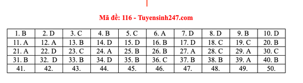 Dap an 24 ma de thi mon Toan ky thi tot nghiep THPT 2020-Hinh-21