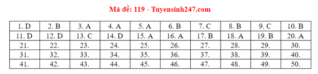 Dap an 24 ma de thi mon Toan ky thi tot nghiep THPT 2020-Hinh-24