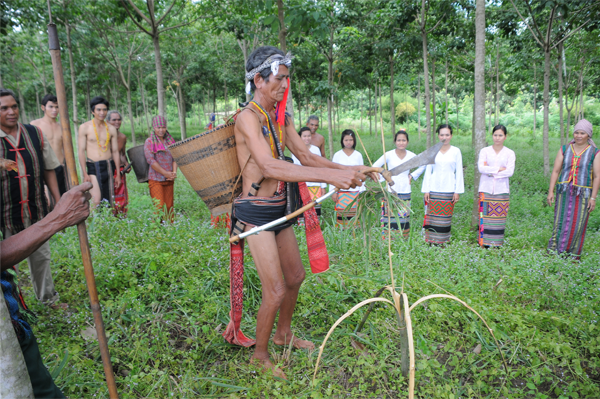 Chuyen it biet ve dan toc nao dan ong mang ho Dieu, dan ba ho Thi-Hinh-8