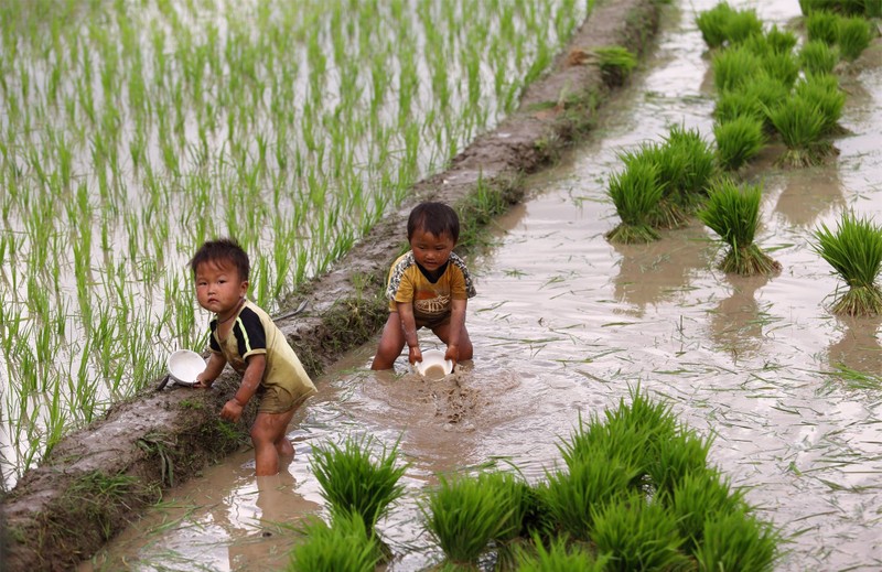 Mu Cang Chai dep me hon voi ruong bac thang mua nuoc do-Hinh-10