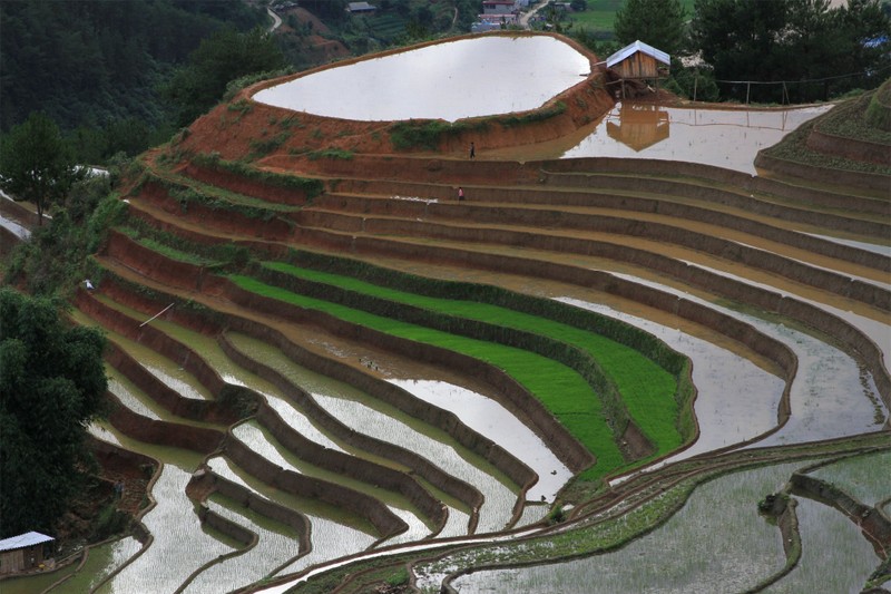 Mu Cang Chai dep me hon voi ruong bac thang mua nuoc do