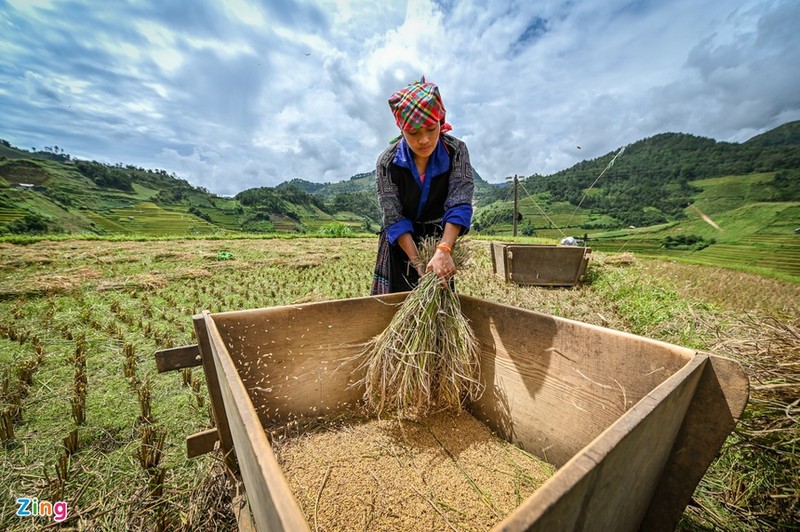 Kham pha ruong bac thang Mu Cang Chai dep me hon-Hinh-4