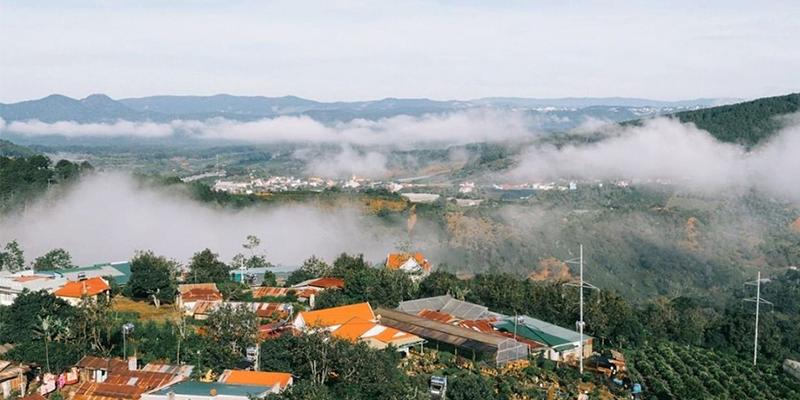 Nham khai niem Da Lat va “Dallas”, dan mang duoc phen tranh luan kich liet-Hinh-12