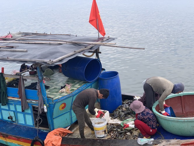 Trung dam 'loc troi', ngu dan Ha Tinh kiem tien trieu moi ngay-Hinh-14