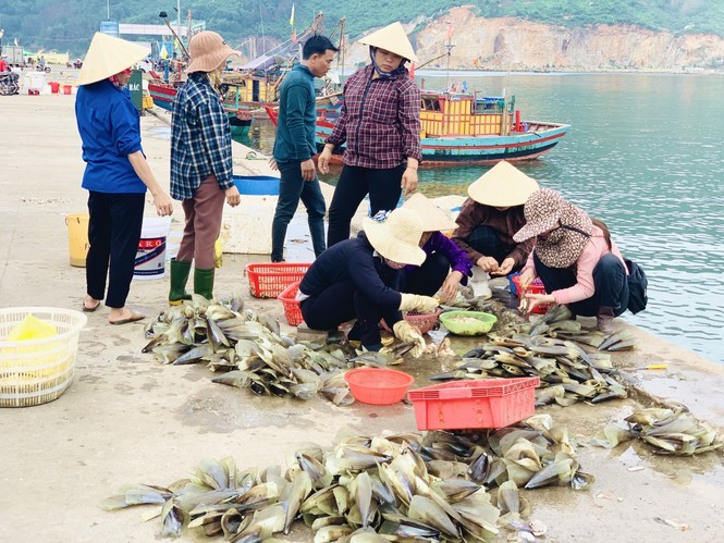 Trung dam 'loc troi', ngu dan Ha Tinh kiem tien trieu moi ngay-Hinh-4