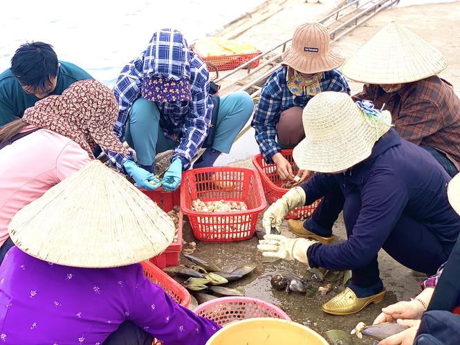 Trung dam 'loc troi', ngu dan Ha Tinh kiem tien trieu moi ngay-Hinh-6