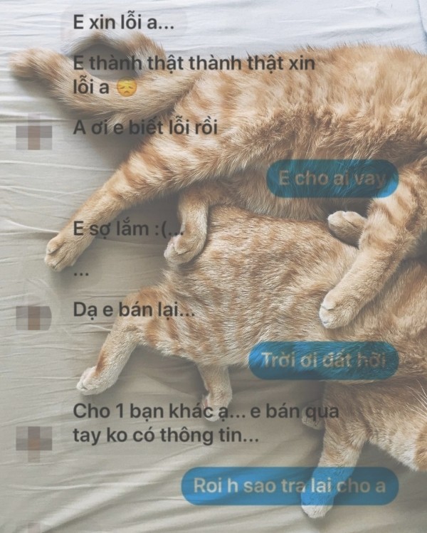 Thanh nien mua meo ve nuoi dem ban cho lo mo khien CDM phan no-Hinh-4