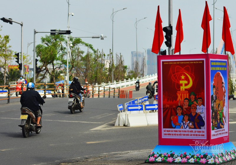 Duong pho Da Nang ruc ro co hoa chao mung Dai hoi Dang-Hinh-6