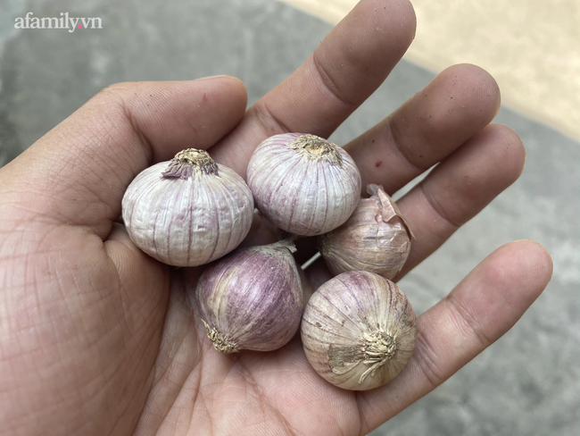 10 cach don gian de da phuc hoi, sang rang ngoi sau Tet-Hinh-2